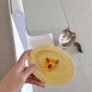 멍린이집 이미지