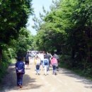 남해-108 이미지