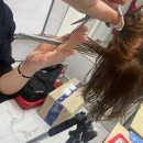 미용사자격증 이미지