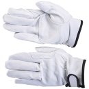 동호상사 이미지