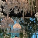 미래치과기공소 이미지