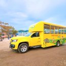 가을탐방(성인) 이미지