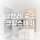크림스테이 | 광안리 숙소 [크림스테이]후기