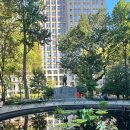 매디슨스퀘어파크 | [뉴욕] 매디슨 스퀘어 파크 Madison Square Park Reflecting Pool 방문 후기