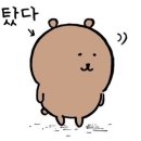 오름스톡(주) | 초보자의 폭우 속 한라산 등반기⛰️ 고민하신다면 그냥 가세요🏃