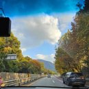 샛별플라워 이미지