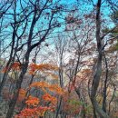 이마당약수터 이미지