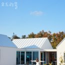 성산읍전천후게이트볼장 | 제주도펜션 오드리물 5월 국내여행 제주도 가볼만한곳 가까운 숙소