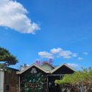 팡시온 | 🍝 대전 팡시온 2인세트 후기｜평일 지인과 다녀온 분위기 좋은 레스토랑