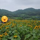 옥류향