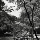 정릉51 이미지