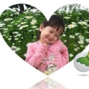 색동어린이집 이미지