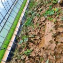 신평농장 이미지