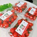 토마토 - 해운대구 송정중앙로 40-22 | 토마토