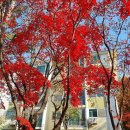 계남초교 이미지