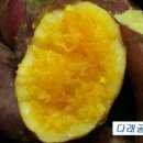 자은농장 이미지