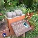 좌수영모텔 이미지