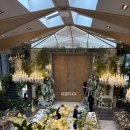 바이헤세드 이미지