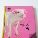 우리 꼬마 책놀이 키즈스콜레 마이 퍼스트 월드로 재미나게~