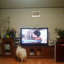 일우농장 이미지