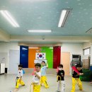 백호태권도장(전용관) 이미지