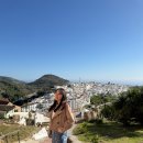 영부교통노동조합 | 세비야에서 그라나다 가는 법: 기차 vs 버스 vs 샌딩투어 총정리