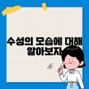 모습 이미지