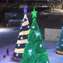 시흥 거북섬 산타 페스타 네이버블로그