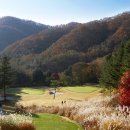 뉴서울의원 이미지