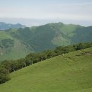 푸른전자 이미지