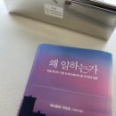 러블리애견미용실 | 홍대미용실 새벽 빈티지펌 러블리펌 단발펌 숏펌 잘하는 곳