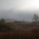 비내섬의 아침 이미지