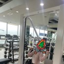 임팩트도량점