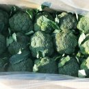 우범농장 이미지