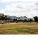 희망교 밑 이미지