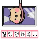 계산동물병원 이미지