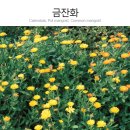 2017년 백월산 시산제. 이미지