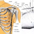 선기로1-3 이미지