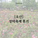 [오산] 오산 장미축제 OH! 해피 장미축제 후기