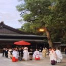 폭포수처럼 쏟아지는 등꽃 축제와 도쿄의 명승, 명품 미술관 기행 이미지