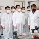 대한흑염소 이미지