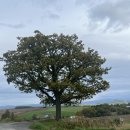 힘듦 | 🇯🇵 홋카이도 비에이 가을 패키지여행 | 하루하루투어 일일 버스투어 후기 | 뚜벅이는 힘듦