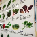 산골짜기쌈밥마을 | 점심메뉴 고민이라면 수원 장안구 제육볶음 맛집 산골짜기 쌈밥마을!