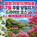 소천8-50 농로 | 밀양 위양지 백일홍 7월 주말 당일치기 드라이브 코스 | 가는 법·주차·포토존 총정리