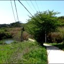 베델농장 이미지