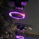 뚝섬 빛섬축제 이미지