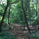 관악산길 이미지