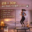 애플핏점핑다이어트