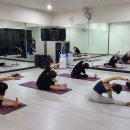 고릴라멀티짐 이미지