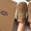 골든스타 이미지